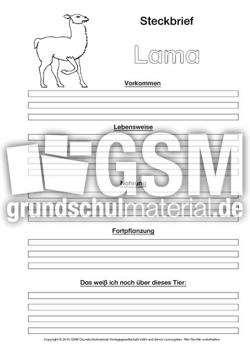 Lama-Steckbriefvorlage-sw-2.pdf